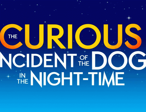 “The Curious Incident of The Dog In The Night Time” Audition Notice